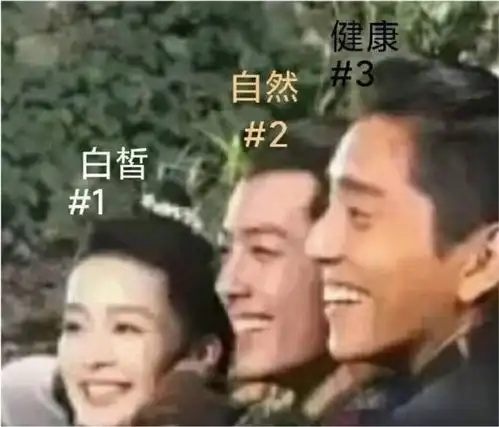 此前爆火的他与狼殿下中的王大陆相似,网友包青天转世
