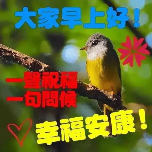 上午好动画表情,朋友圈最漂亮的动态图片

