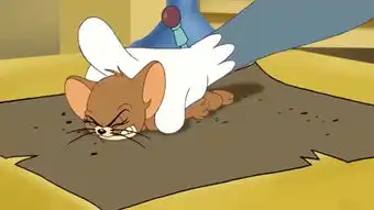 汤姆和杰瑞
