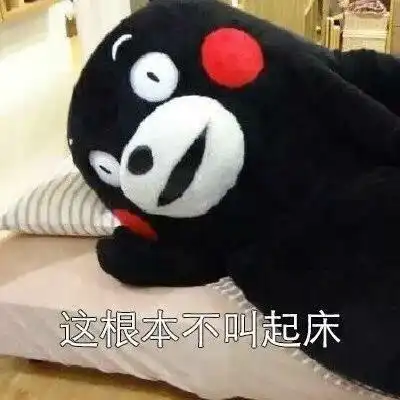 表情包你真的起床过吗
