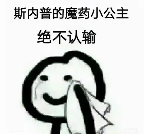 哈利波特手游动画化差点被大佬自制的高质量番剧op给骗了
