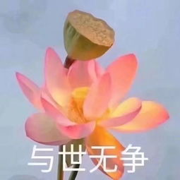 个性搞怪头像

