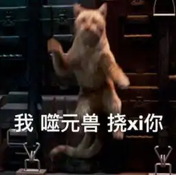 3个月前从垃圾桶捡来的猫,特别爱咬人,这样的猫还能要吗
