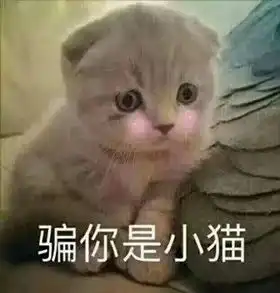 来神州学驾照,不早不晚现在刚刚好时间
