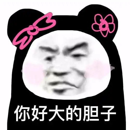 表情包你这个人好大的胆子
