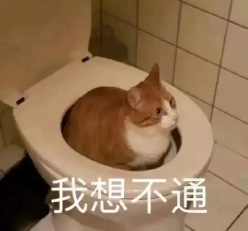 有哪些堪称有毒的表情包
