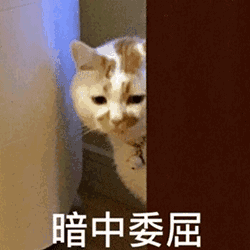 吃在同济我们要承包你的胃

