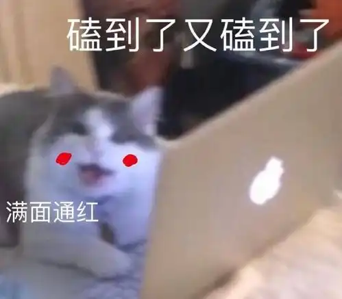 嗑到上头,这cp怎么还不公开
