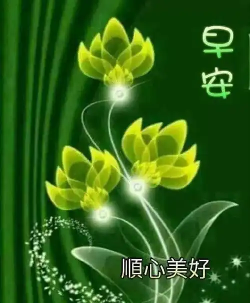 早上好祝福语录图片鲜花带字,早晨好动态祝福语录图片
