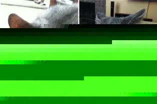 心机喵喵星人教你如何得到自己想要的东西
