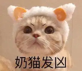 鸡就该呆在鸡窝
