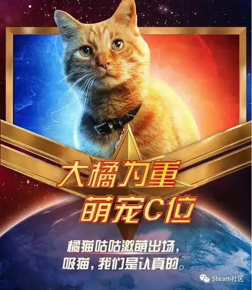 可怕一只橘猫撑起半部惊奇队长的票房被网友恶搞做成表情包网友大橘为重

