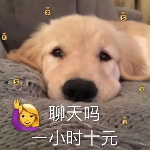 记录讨论丨感觉要给混合鸡一些排面
