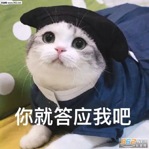 失去理想郁郁寡欢表情图片吃我一记喵喵拳表情包下载乐游网游戏下载
