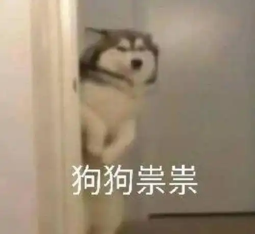 上联橘猫蓝猫波斯猫下联柯基边牧萨摩耶
