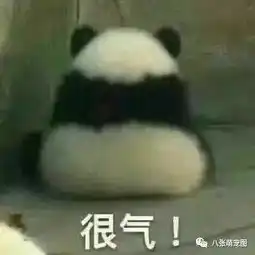 大熊猫脱裤照火爆了天雷滚滚9年了还不放过我,我不要面子啊
