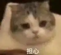 可爱萌宠沙雕表情包第二弹在挨就不里猫了

