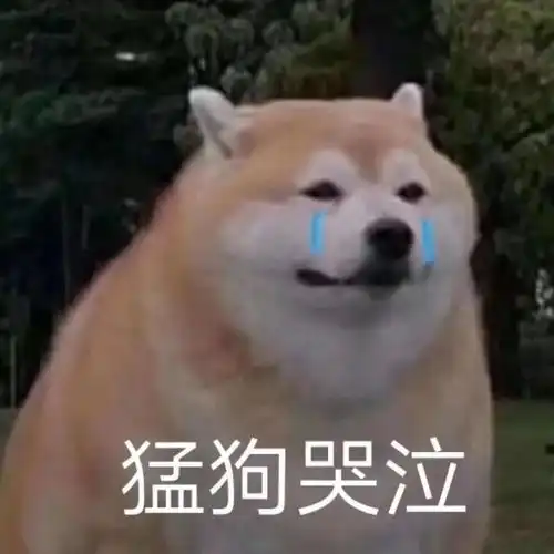 谭松韵这种可甜可酷的少女感也太绝了
