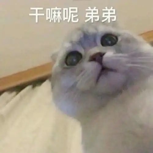 每日一笑找女朋友就应该找一个不爱化妆的,偶尔画一次
