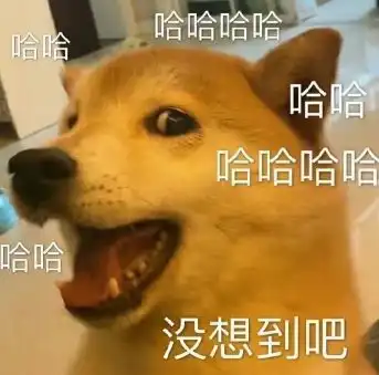 这不比买彩票刺激修宝活动竟然送个神兜兜
