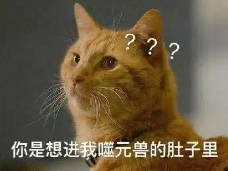 猫咪那么可爱,为啥有些人会讨厌喵星人呢
