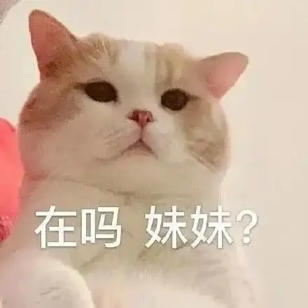 猫猫表情包系列这是你跟我说话的态度
