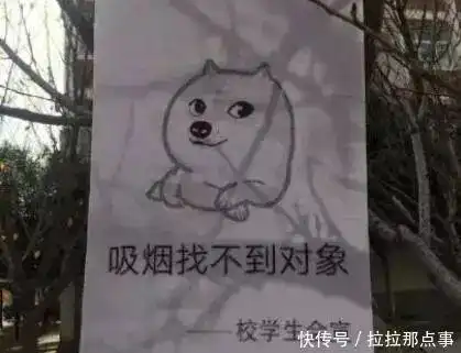 一周法治天下12.212.7下雪了,有人摔了跤,有人偷了熊猫
