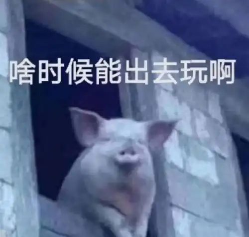 最新热门表情包动图片啥时候能出去玩,老实巴交

