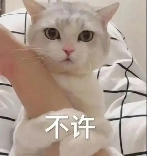表情包你说跟我谈恋爱,你拿什么谈
