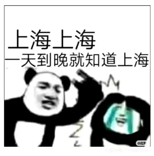 2024文化之新观众为何念叨一天到晚就知道上海
