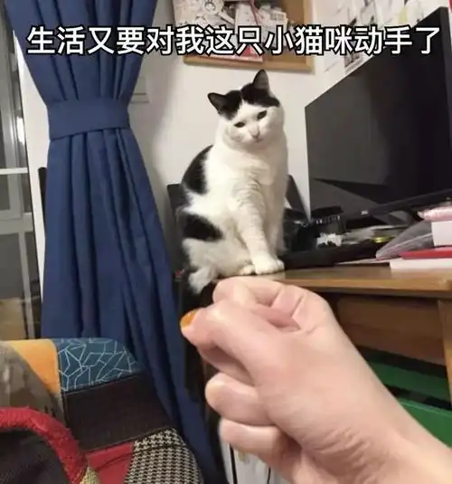 某个瞬间突然发现自己老了90后初老症状你中了几个
