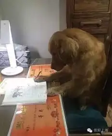 贵州的孩子们终于开学了,最开心的居然是这群人
