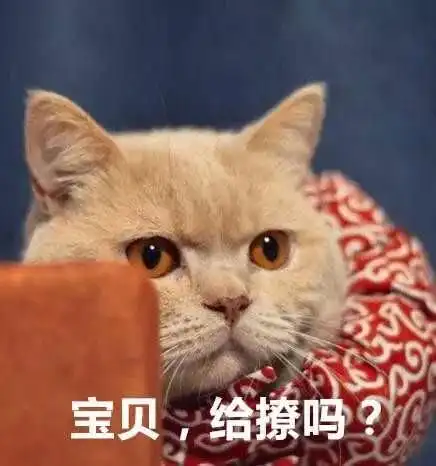 我们是相亲相爱的一家人
