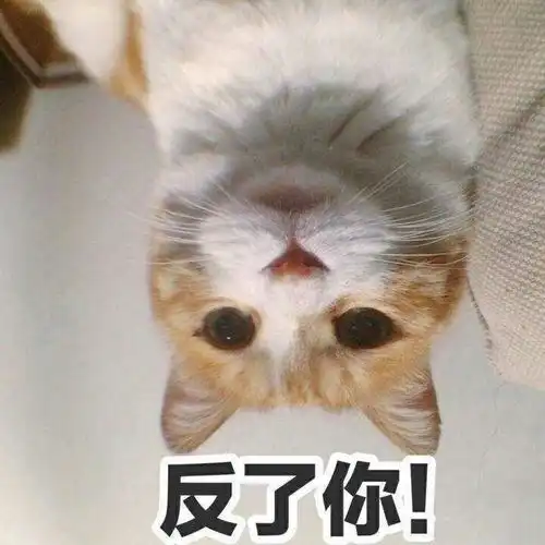 表情包收藏夹
