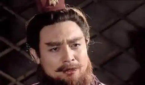 为什么三国演义中的孙权存在感极低
