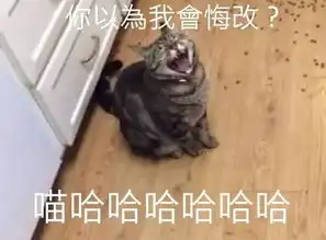 喵星人偷吃时把一箱猫粮打翻在地,主人训他时,这个表情...
