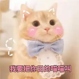 表情包你表情包太多,不想和你聊了
