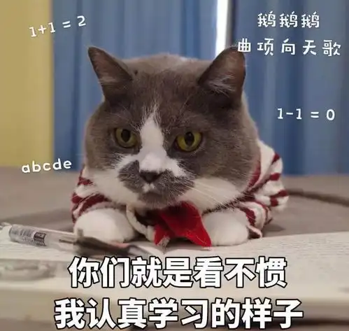 开学进行时恭喜小主,喜提开学一枚

