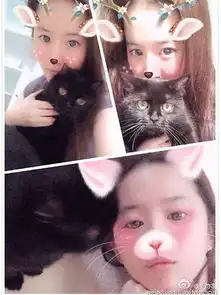 女星素颜圈粉刘亦菲清纯可爱范冰冰少女范
