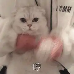 ftl潜规则调优,才是算法精华
