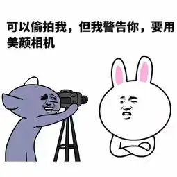 闪购今天又上新,网红街拍辣眼睛
