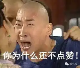 腐国都不知道欧盟是啥就退出,无数中国毕业生流泪改论文
