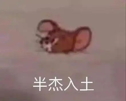 乘风破浪姐姐们全体水逆万茜右臂骨折,靠脸吃饭的她被手动毁容...
