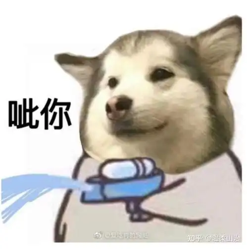 有哪些一发出去就能镇住朋友圈的沙雕文案
