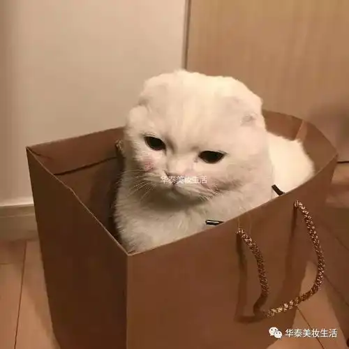 200元美肤体验券吃鸡式解说
