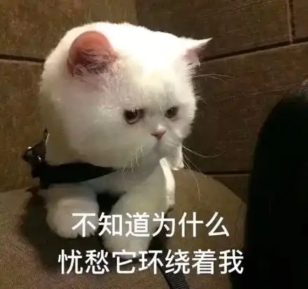 强烈建议在杭人员必备出行神器不想走弯路的看过来
