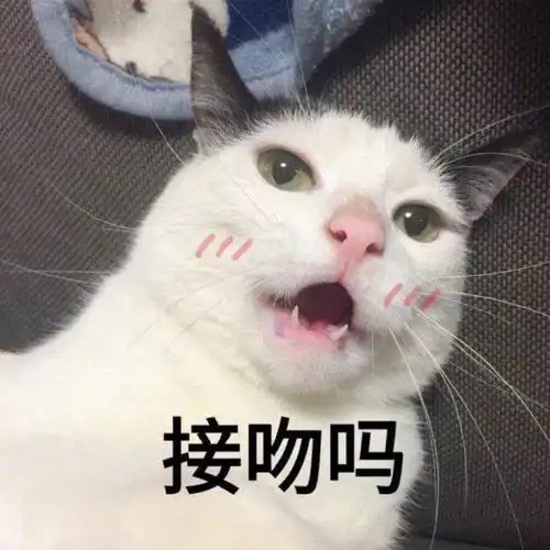 萌宠表情包哇的一声哭了出来
