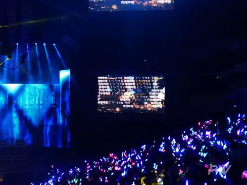 萝莉肥宅与女装大佬,我旁观了一场二次元的狂欢
