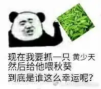 它是全职高手表情包的专栏系列三ω
