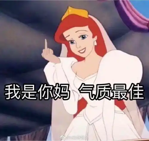 不会再看所谓的乐评人写的主观感受了

